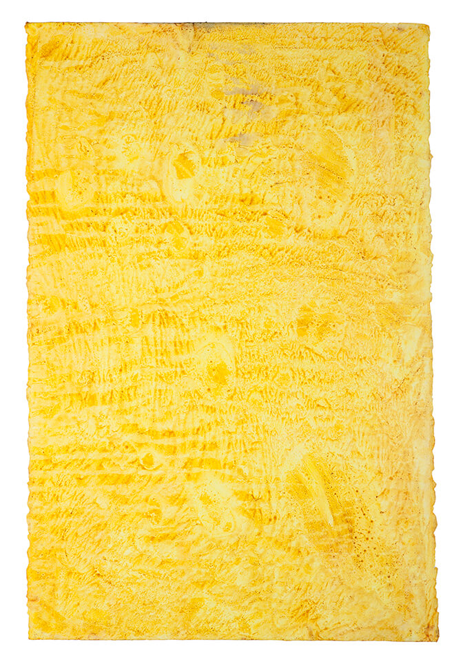 curcuma papel 05.jpg